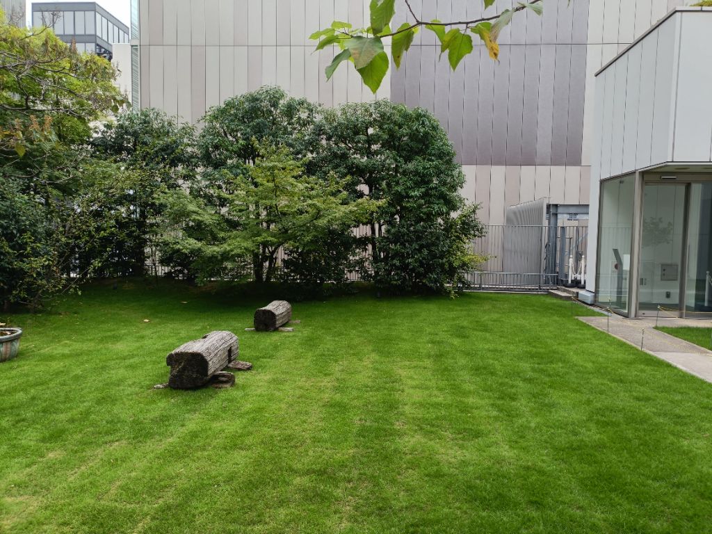 芝生と木立のある庭