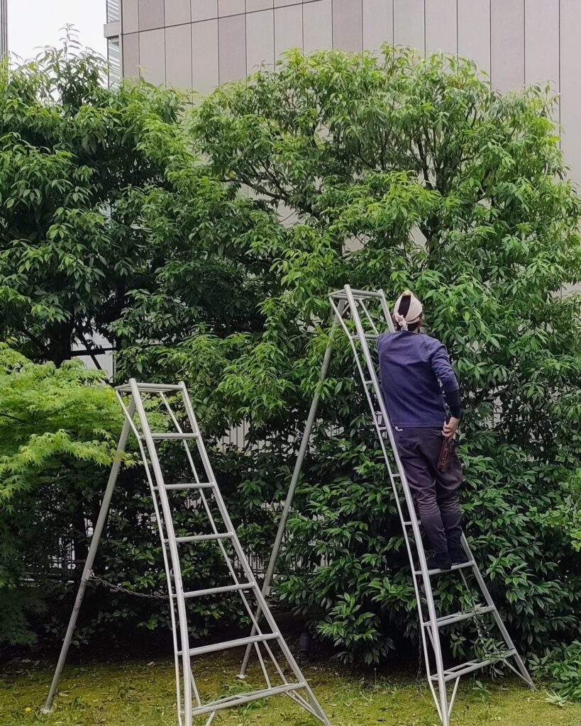 庭の手入れ