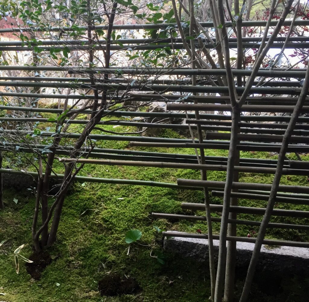 竹垣