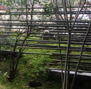 竹垣